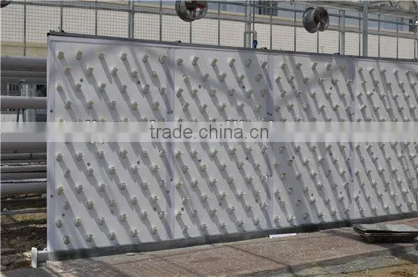 4mm Polycarbonate Greenhouse Anti- high Wind and Snow