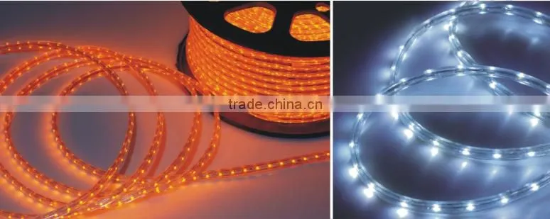 festalight UL CE RoHS certified SMD5050 chips warm white RGB flexible led strip light 220V 60 led per meter DC12V SMD3528
