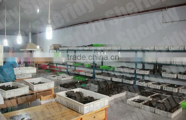 S/S AISI316 Wire Rope