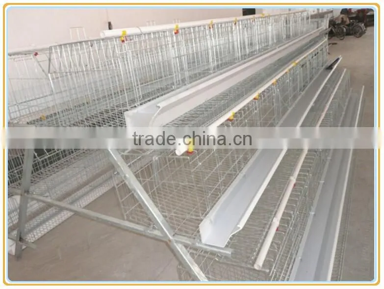 Fram raise dorking equipment with feeding system.A type dorking layer cage