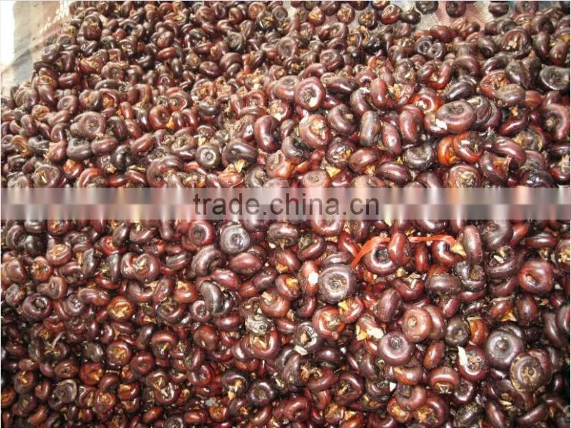 wholesale good fresh water chestnut on sale