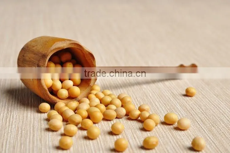 Instant Peanut Flavour Soft Tofu Powder