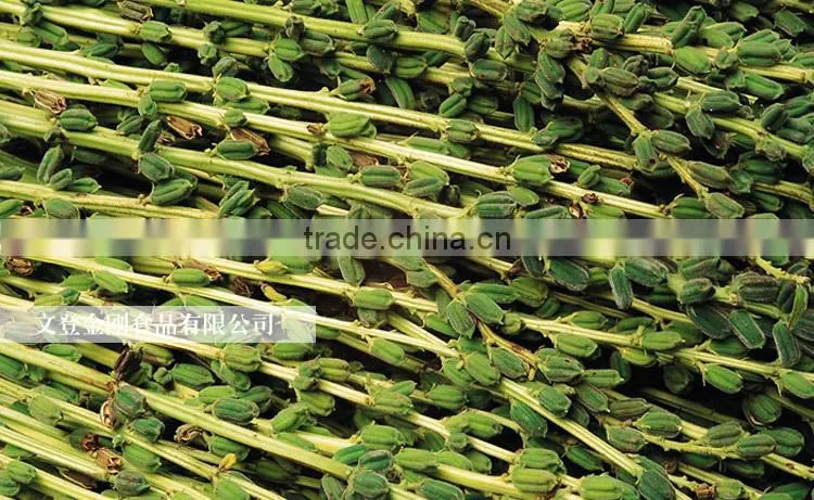 100%pure sesame oil/ Refined Pure Gingelly Oil