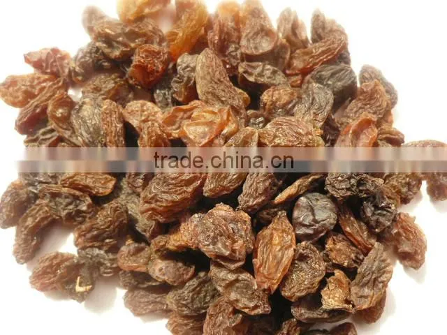 light red/mix raisin