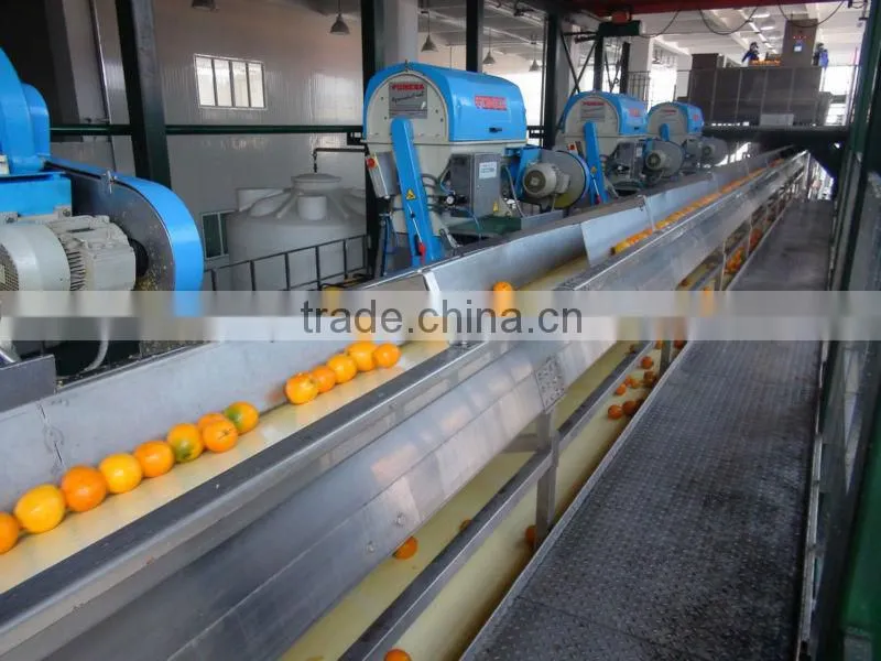 turn key full automatic orange juice processing line