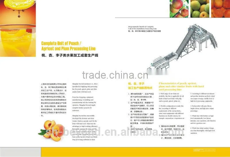 Complete Apricot Fruit Processing Line