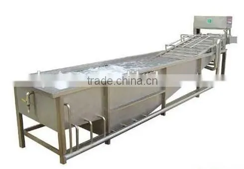 fruits & vegetable cleaning machine