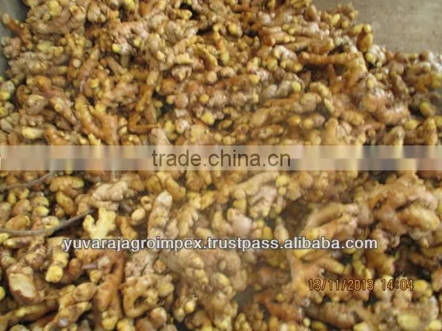 Best Quality Ginger for Sale