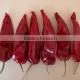 Chinese supplier wholesales export dried red chilli import from china