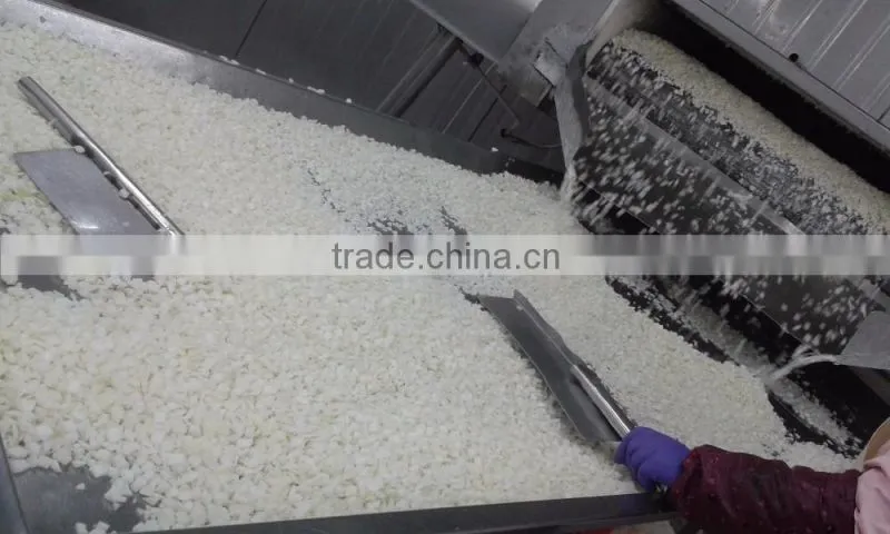 IQF Frozen Diced white Onions-10*10mm