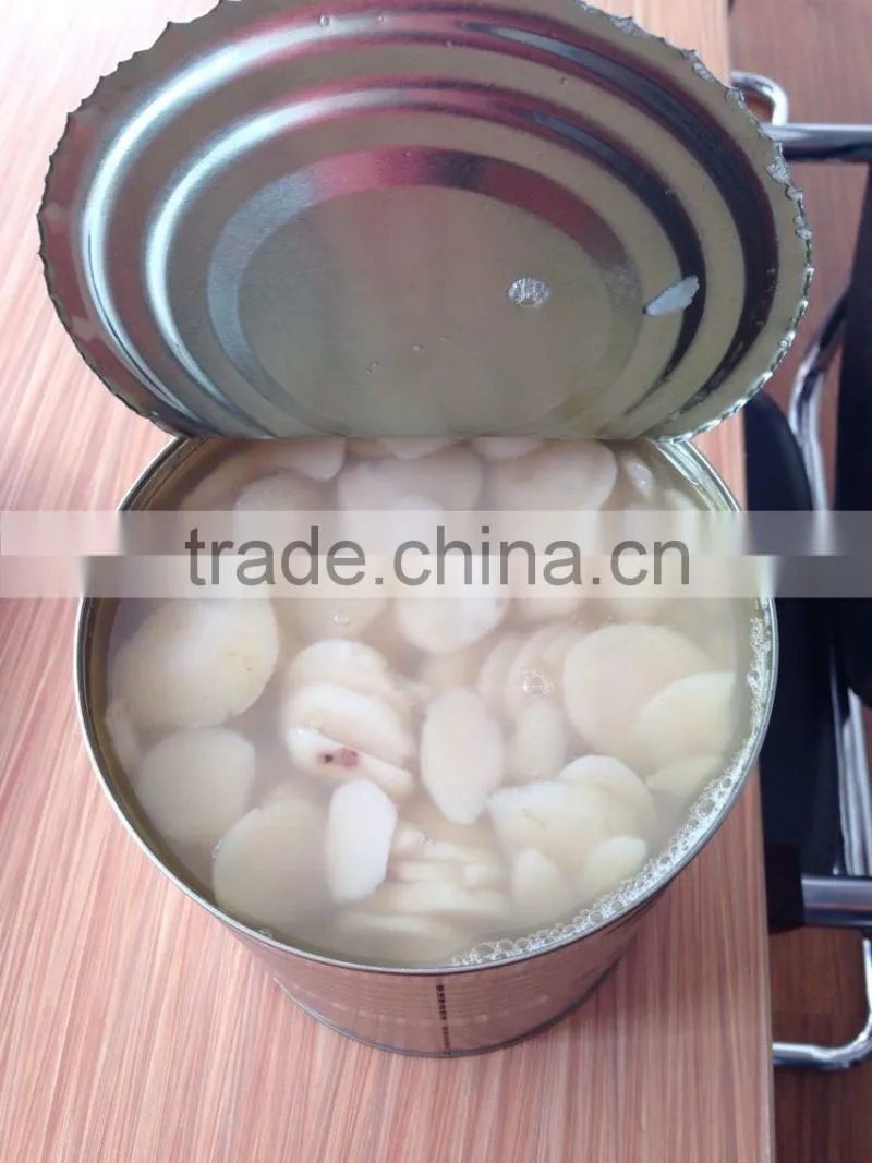 Canned Food Factory Canned Vegetable Water Chestnuts Slices