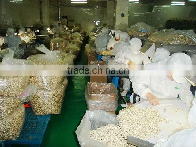 Onion products onion powder dehydrated onion