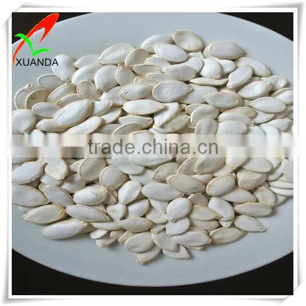 Wholesale pumpkin seeds snow white price