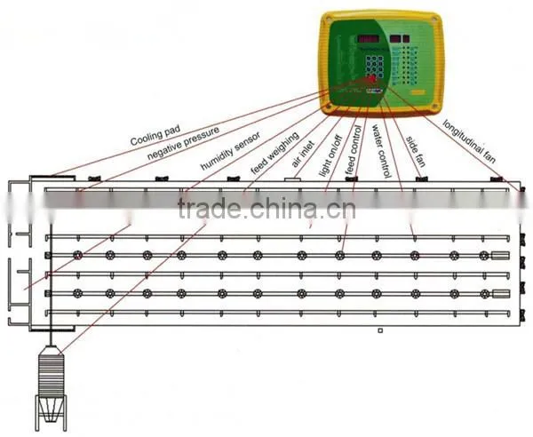 Environment controlled broiler chicken farm