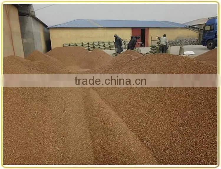 Crushed Walnut Shell For Polishing Soft Metals