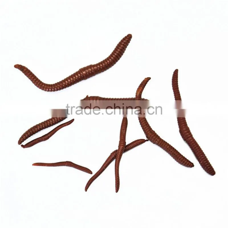 carp fishing accessories carp fishing tackle carp fishing rod pod