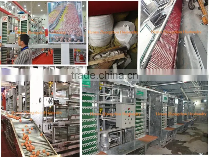good quality supplier poultry equipment/transport cage for poultry/agricultural equipment