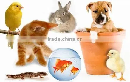 floating fish feed pellet extruder machine for fish, catfish, shrimps, crab