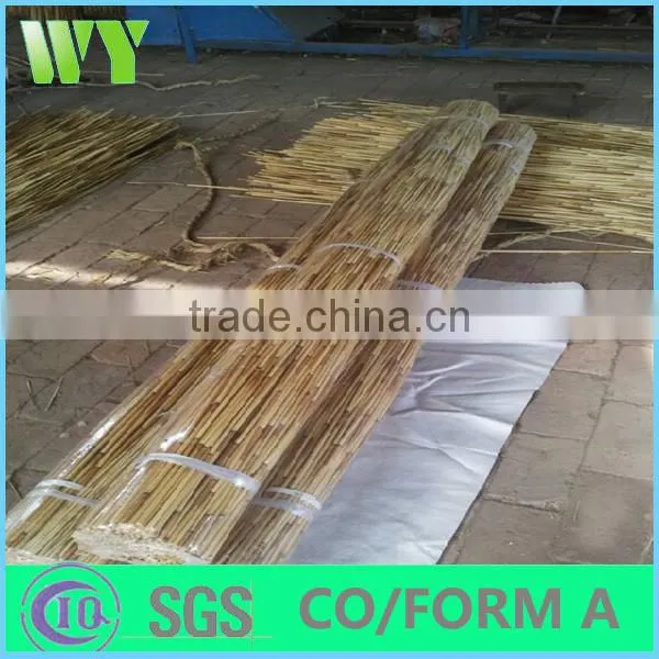 natural reed poles