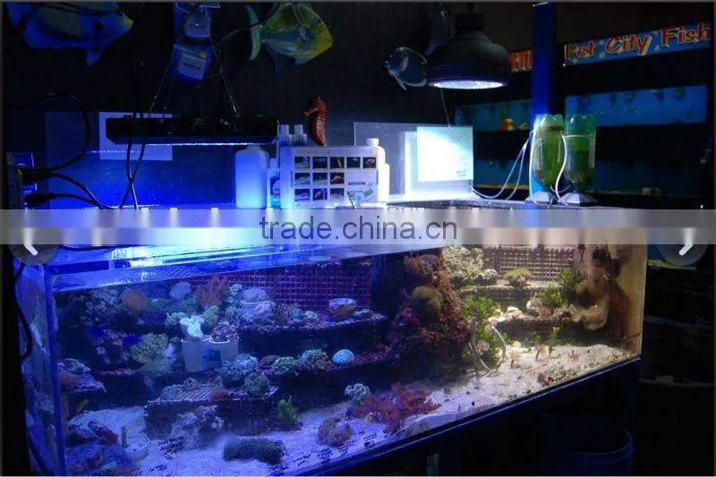 LED 120W Aquarium Lamp 3W Bridgelux Chip with Dimmer