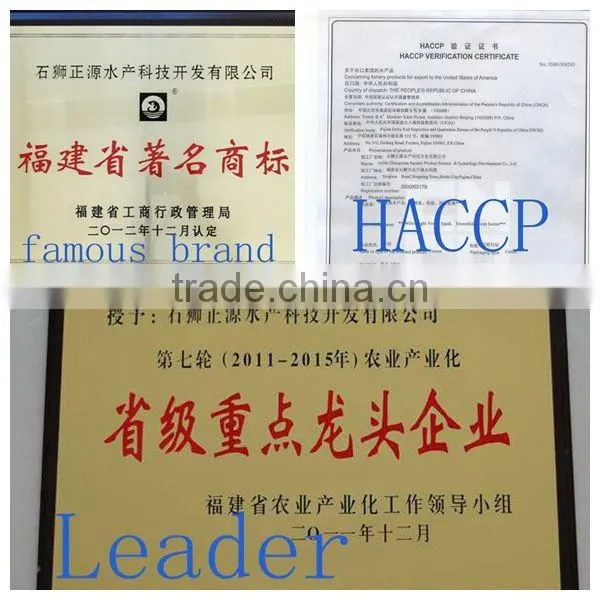 Bulk Packing Frozen Bonito With Best Price