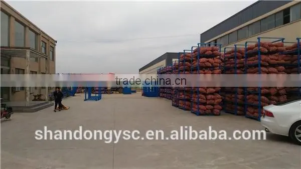 China garlic factory offers best natural black garlic price