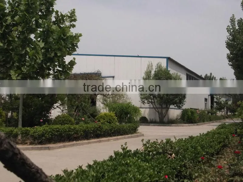 Delon single/double screw food extruder machine equipment