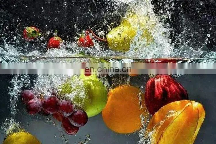 Water Bubble Type Vegetable And Fruit Cleaning Machine Seafood Oyster Seaweed Washer Eggplant Shrimp Bubble Washing Machine