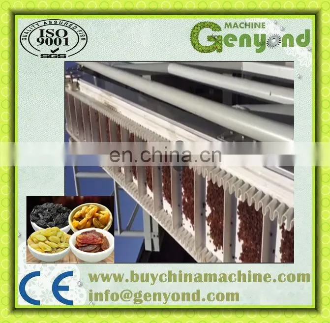plant for raisin /dried grapes processing machine