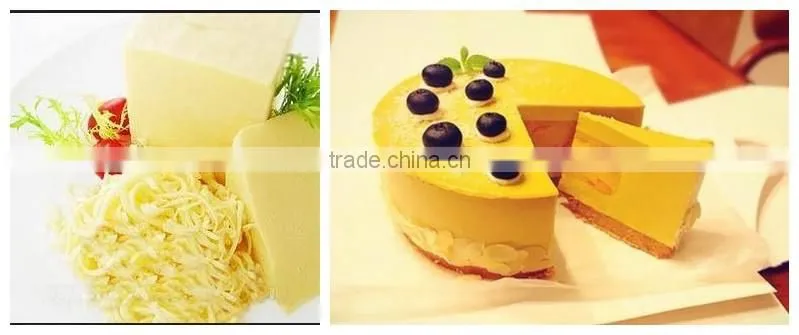 Professional multifuncational cheese grater with plastic handle