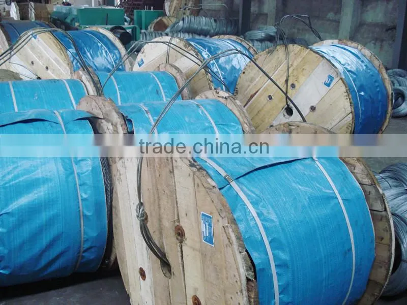 Electro Galvanized Steel Wire Rope