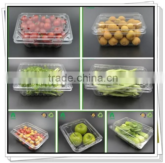 PET Plastic Type and Plastic Material plastic fruit tray