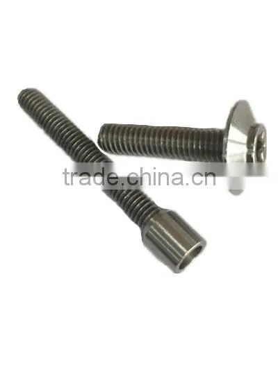 stainless steel screw for car accessories