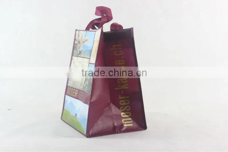 Lead-free 2 Pack Recycled Bottle Bag