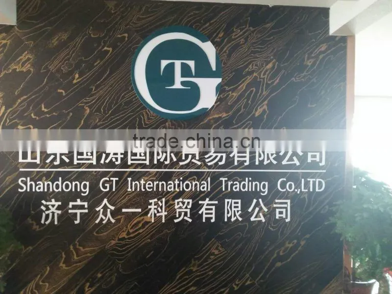 Shandong GT International Trading Co., Ltd. company overview - view 1