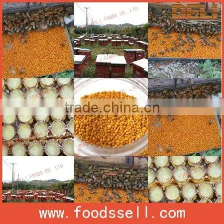 Lotus Bee Pollen