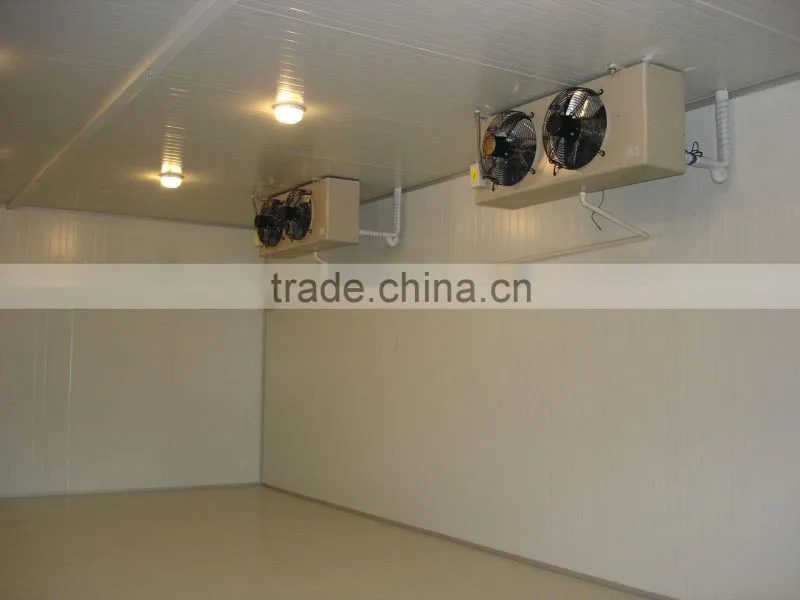 customized flower cold room freezer