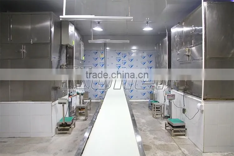 3 Tons Cube Ice Making Machine with Packing System
