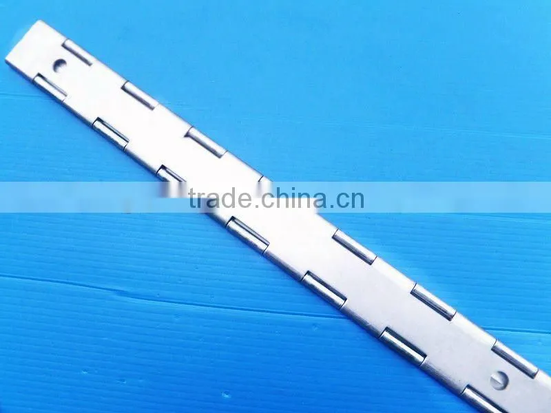 Multi-axial stainless steel hinges with lowest price