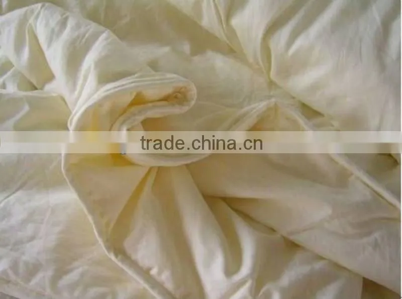 Top Quality Silk Quilt