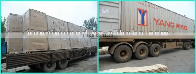 paulownia laminated board for furniture particle 2 layers