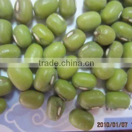 Green Mung bean beans 2010