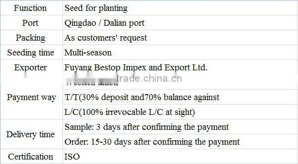 Mu dan zhong zi made in China with quality peony seed