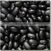 Green Mung Beans In China