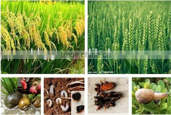 Tea Seed Meal/Cake/Powder/Pellet for Aquaculture, Organic Fertilizer, Eco-pesticides, etc.