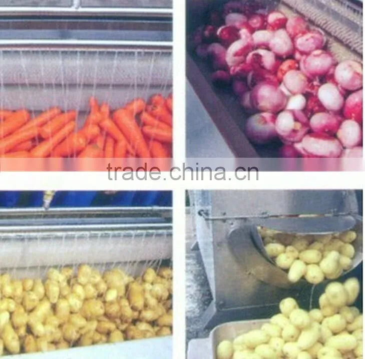 fruit and vegetable washing machine