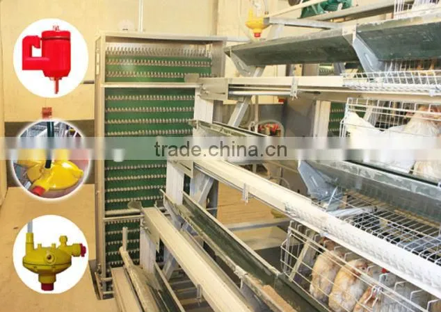 broiler chicken house