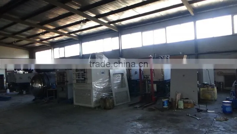 TPV-50F silicon oil heating lyophilizer equipment For food fruit (0.7 square meter,drying curve display)