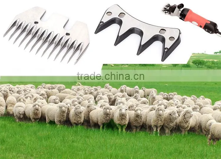 Manufacturers provide special blister package sheep hair clipper blade sharpener