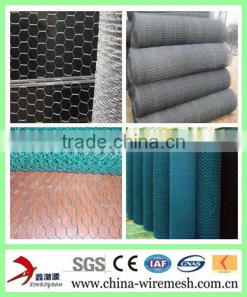 PVC Coated Galvanized Hexagonal Wire Mesh Gabion